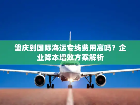 肇庆到国际海运专线费用高吗？企业降本增效方案解析