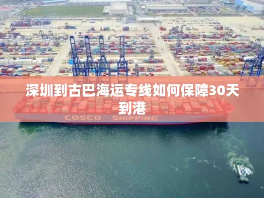 深圳到古巴海运专线如何保障30天到港