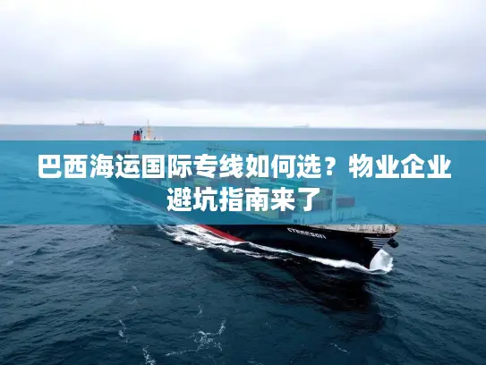 巴西海运国际专线如何选？物业企业避坑指南来了