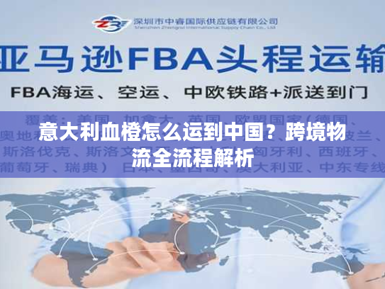 意大利血橙怎么运到中国？跨境物流全流程解析