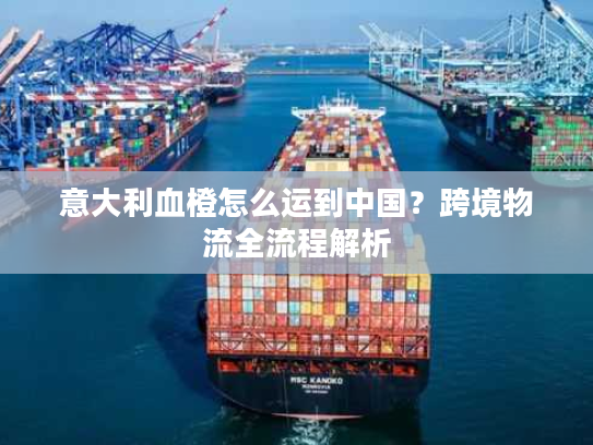 意大利血橙怎么运到中国？跨境物流全流程解析