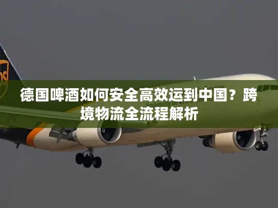 德国啤酒如何安全高效运到中国？跨境物流全流程解析