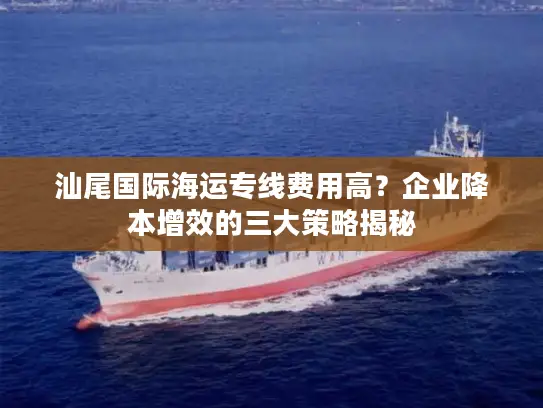 汕尾国际海运专线费用高？企业降本增效的三大策略揭秘