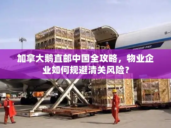 加拿大鹅直邮中国全攻略，物业企业如何规避清关风险？