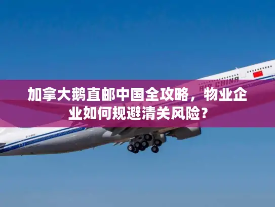 加拿大鹅直邮中国全攻略，物业企业如何规避清关风险？
