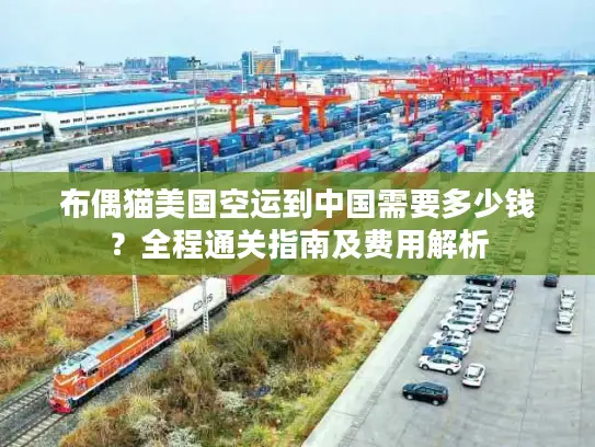 布偶猫美国空运到中国需要多少钱?全程通关指南及费用解析 布偶猫美国空运到中国需要多少钱?全程通关指南及费用解析