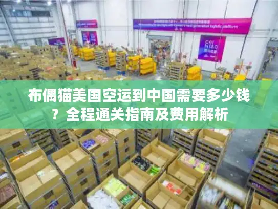 布偶猫美国空运到中国需要多少钱?全程通关指南及费用解析 布偶猫美国空运到中国需要多少钱?全程通关指南及费用解析