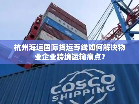 杭州海运国际货运专线如何解决物业企业跨境运输痛点？