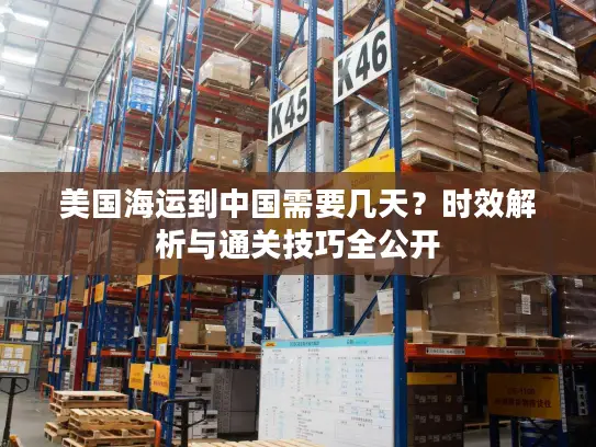 美国海运到中国需要几天？时效解析与通关技巧全公开