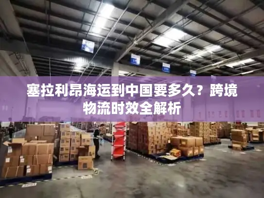 塞拉利昂海运到中国要多久？跨境物流时效全解析