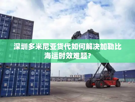 深圳多米尼亚货代如何解决加勒比海运时效难题？