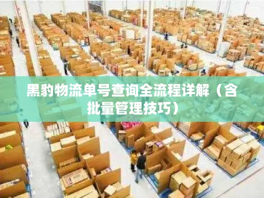 黑豹物流单号查询全流程详解（含批量管理技巧）